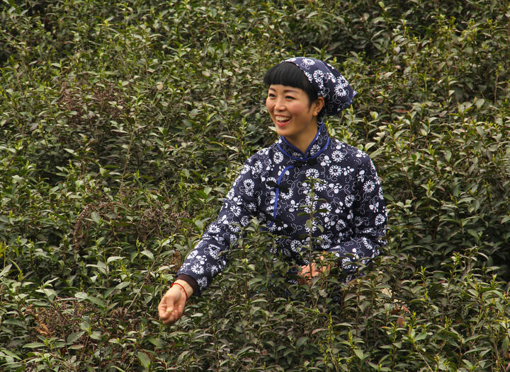 侦探手记